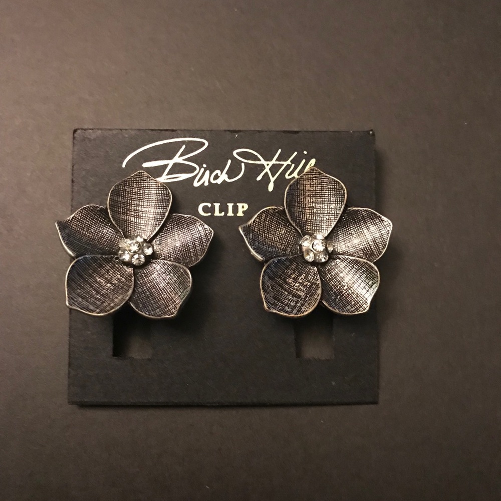 Clip on Earrings